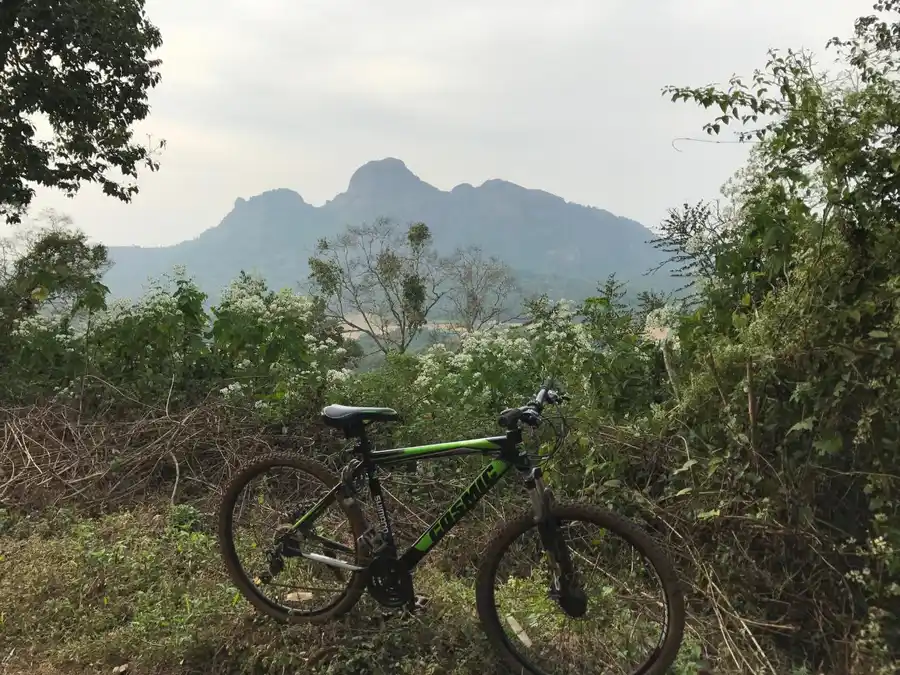 Pepper Trail Experiences