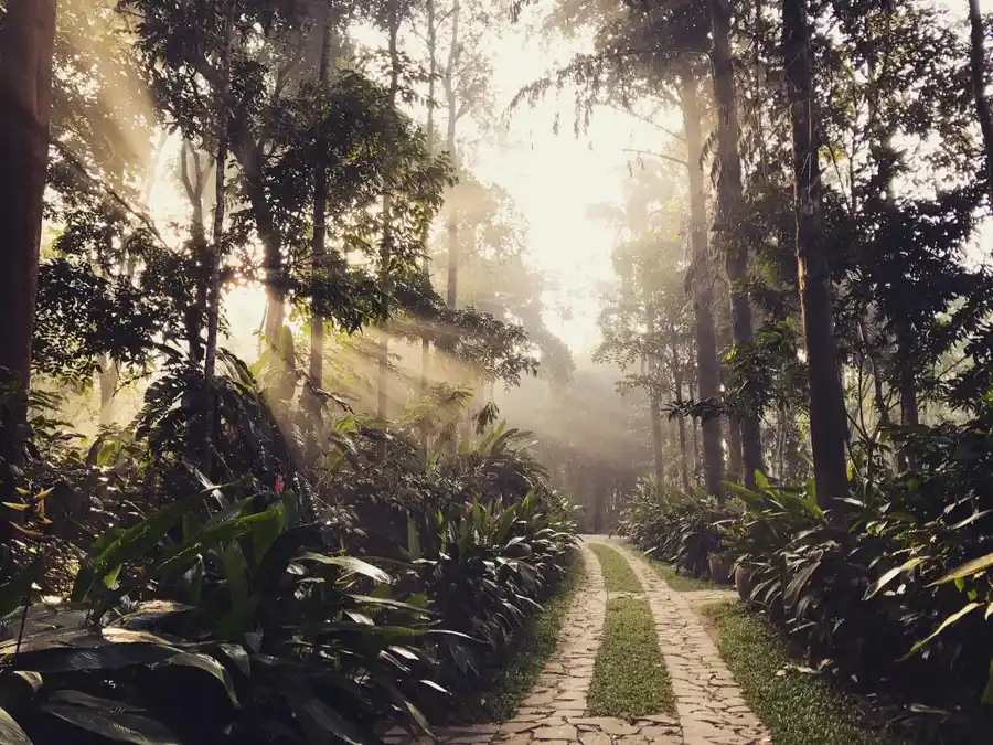 Pepper Trail Experiences