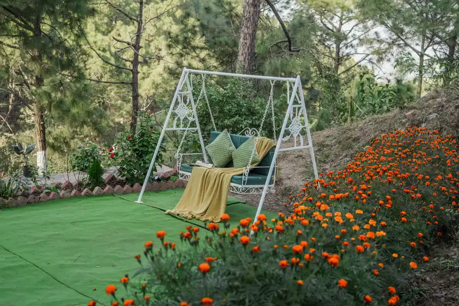 Pine View Resort, Kasauli