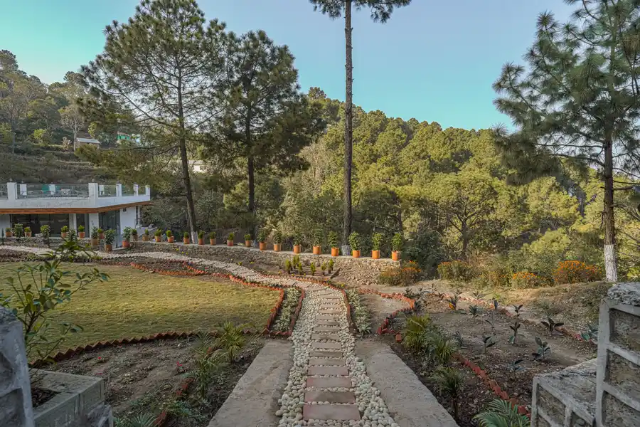 Pine View Resort, Kasauli
