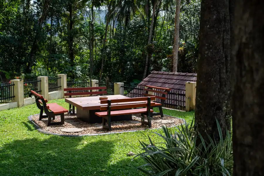 Pochan's Zen, Kochi