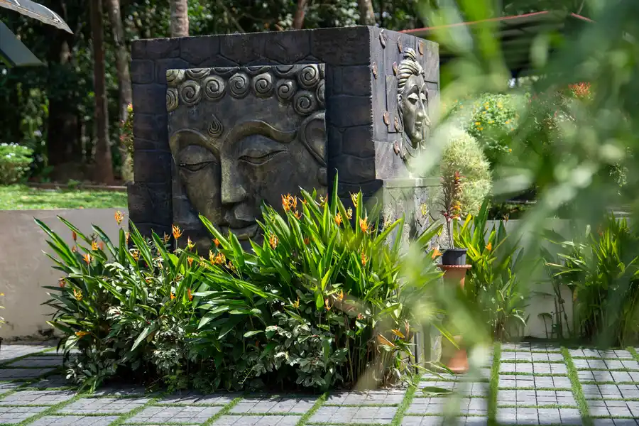 Pochan's Zen, Kochi