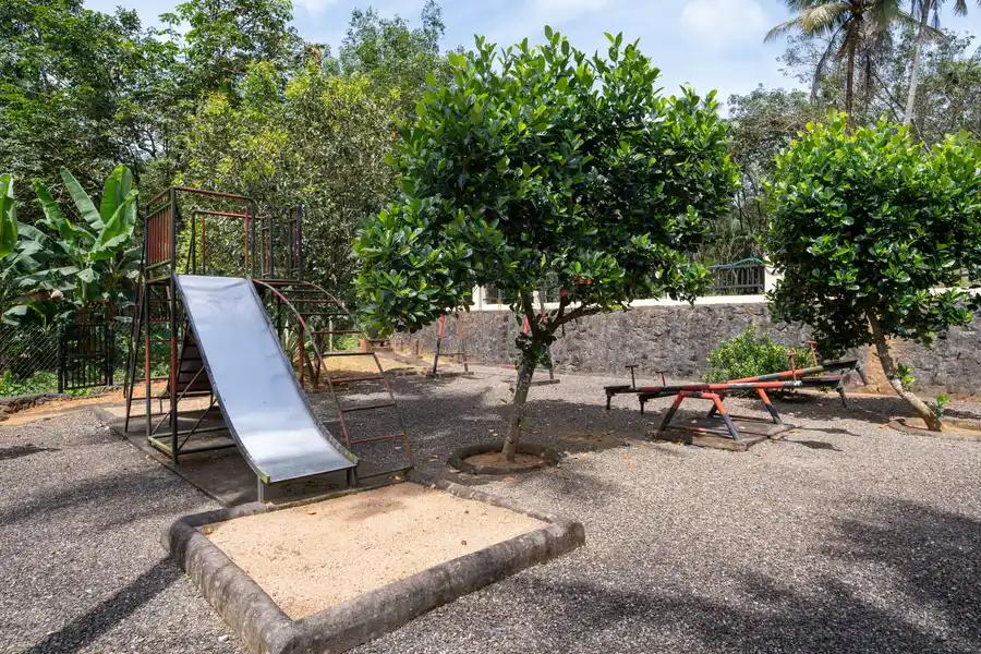 Pochan's Zen, Kochi