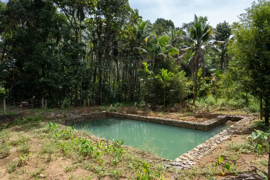 Pochan's Zen, Kochi