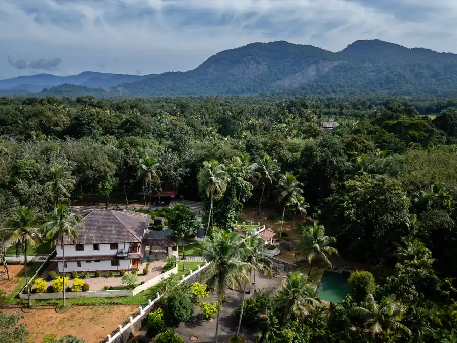Pochan's Zen, Kochi