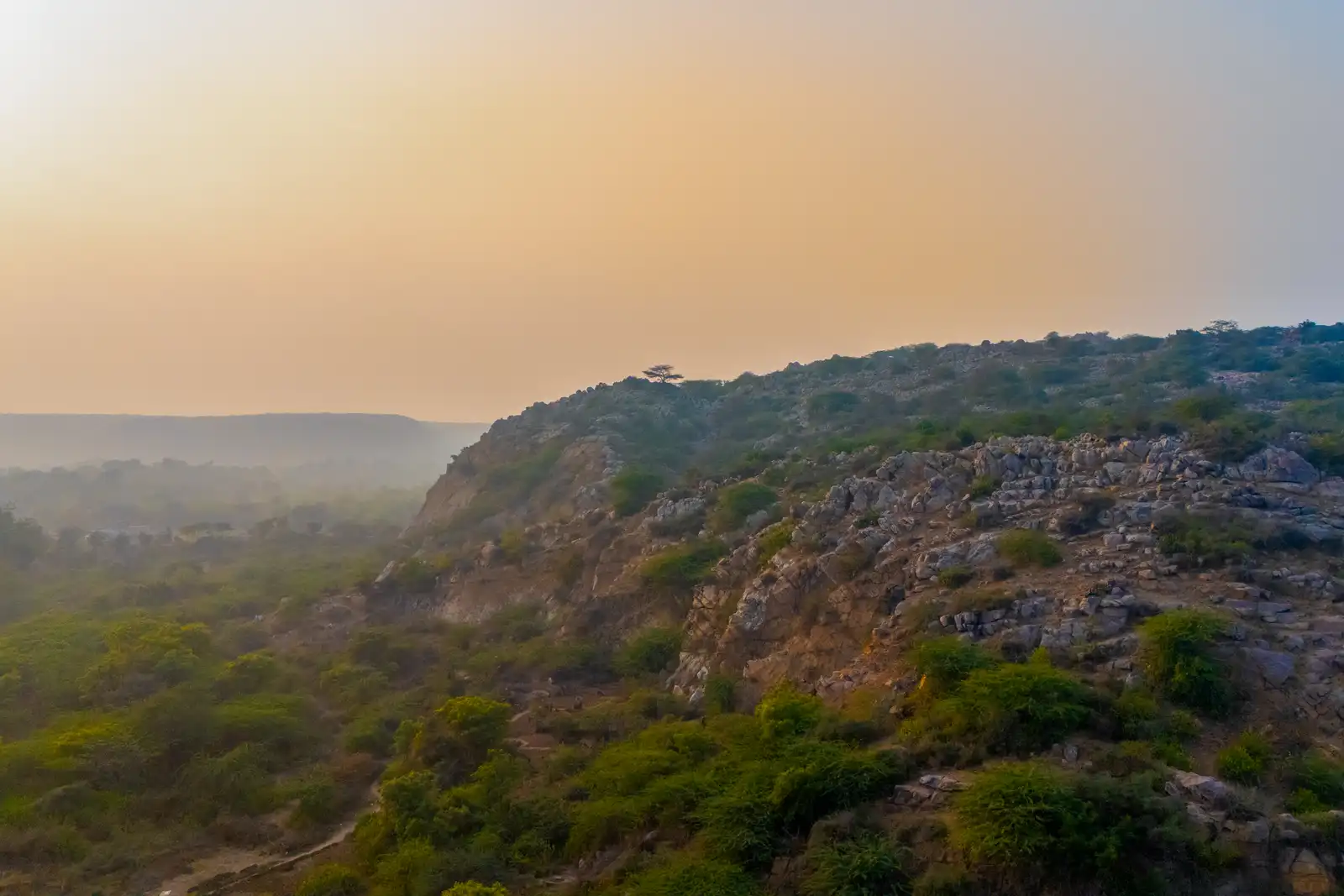Prassanam Vatika, Delhi NCR
