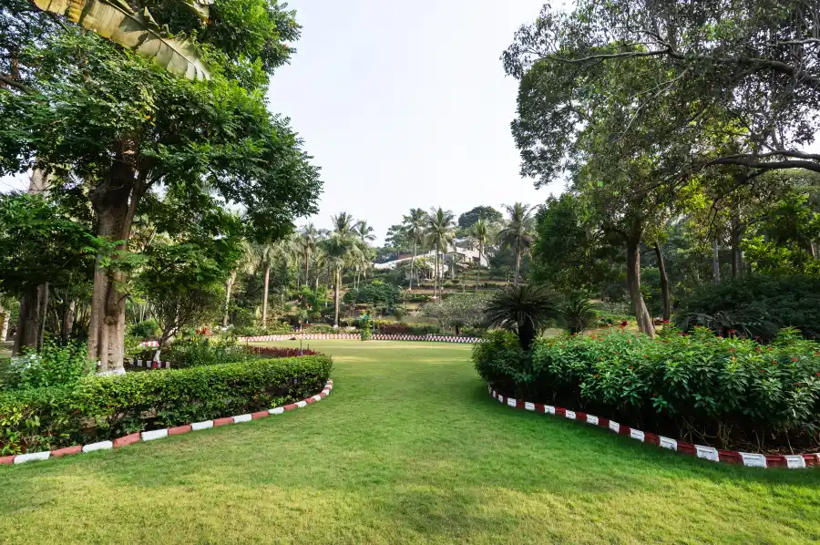 Pride Rock, Alibaug