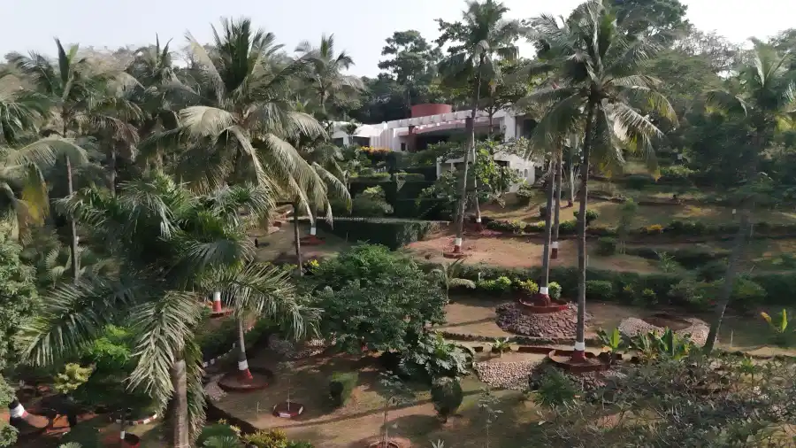 Pride Rock, Alibaug