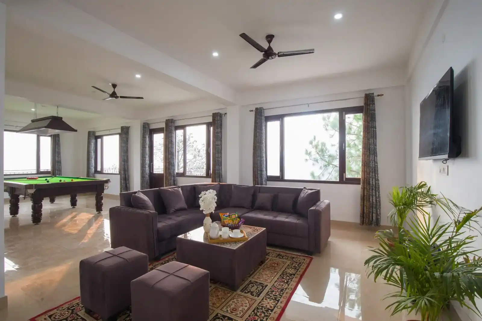 Querencia, Kasauli