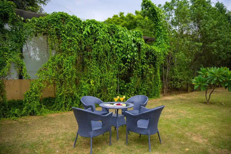 Raha Farms, Delhi NCR