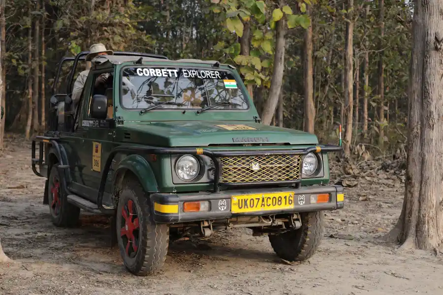 Rhythmic Woods, Jim Corbett