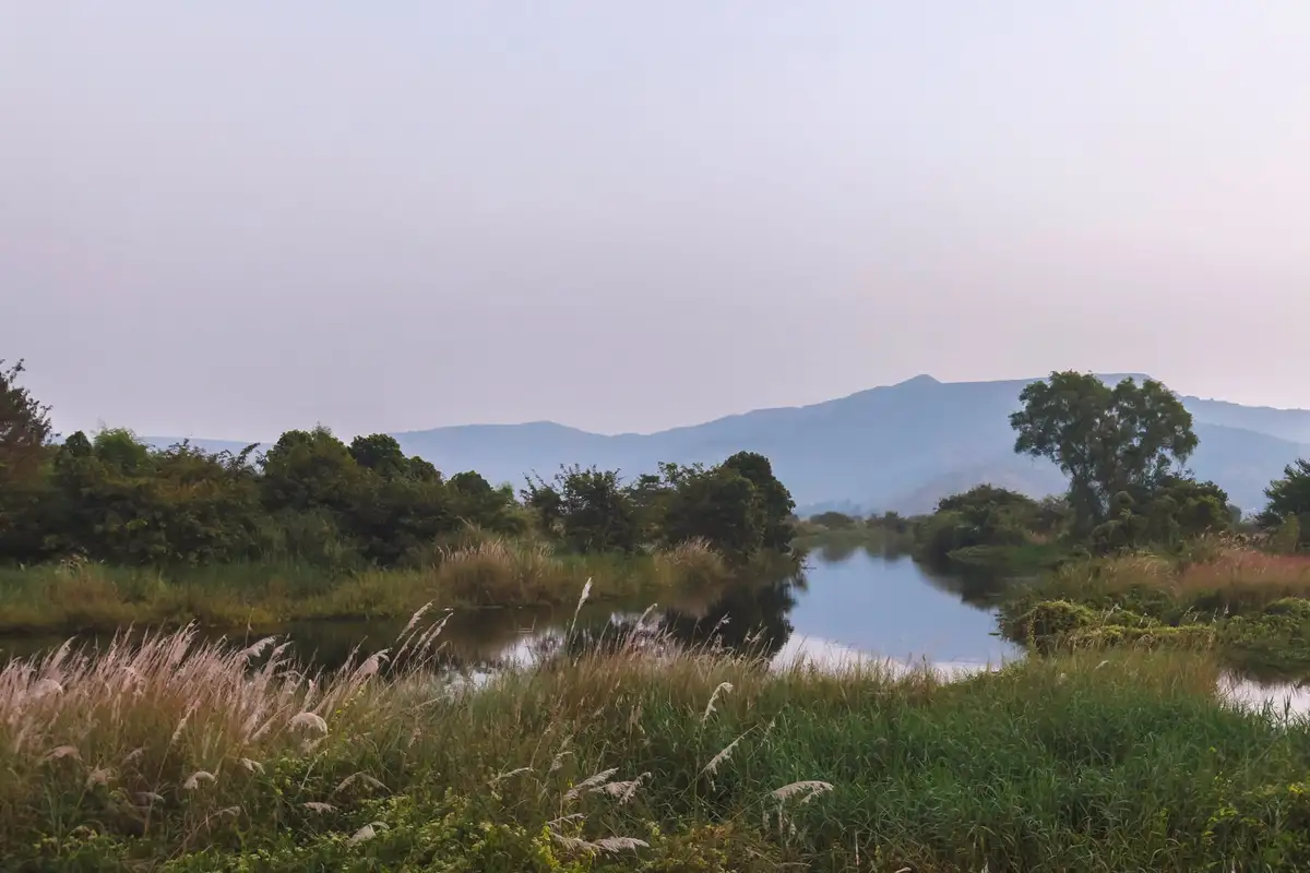 River Song, Lonavala