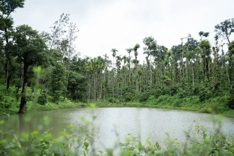 Robin Woods, Sakleshpura