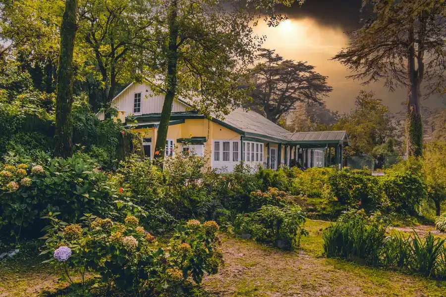 Rose Cottage, Shimla