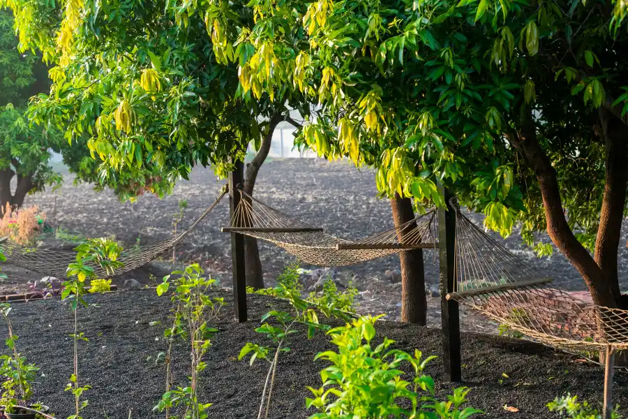 SaffronStays Aangan, Igatpuri
