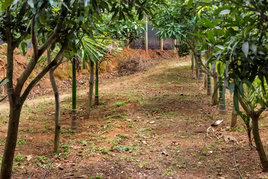 SaffronStays Aashray, Tumkur, Bangalore