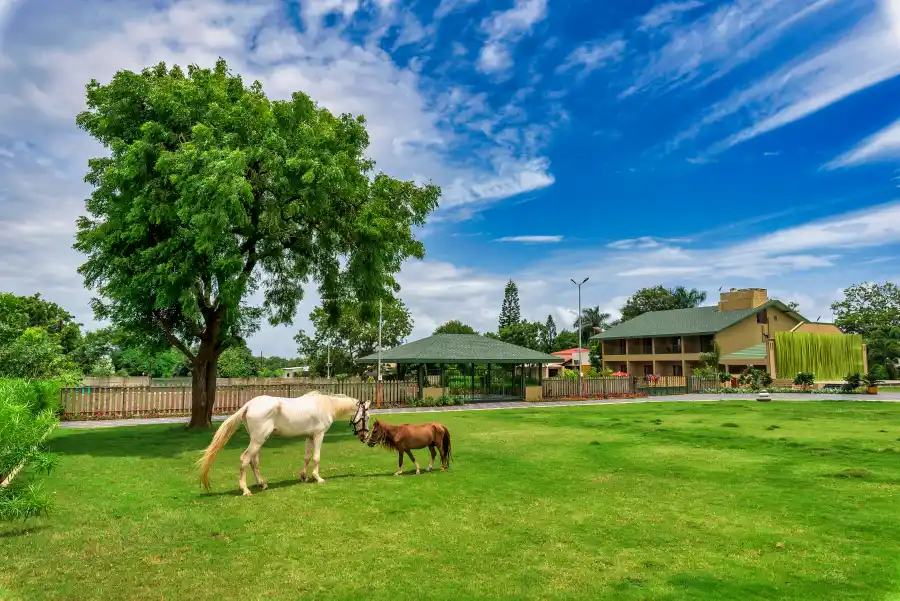 SaffronStays Amaltas, Nashik