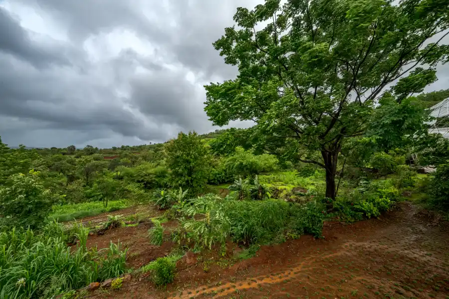 SaffronStays Amaltash, Bhor