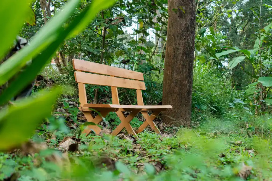 SaffronStays Amaya, Kannur