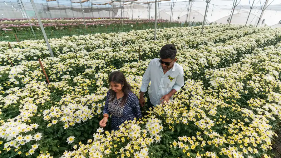 SaffronStays Amodhini Farmstay, Hosur