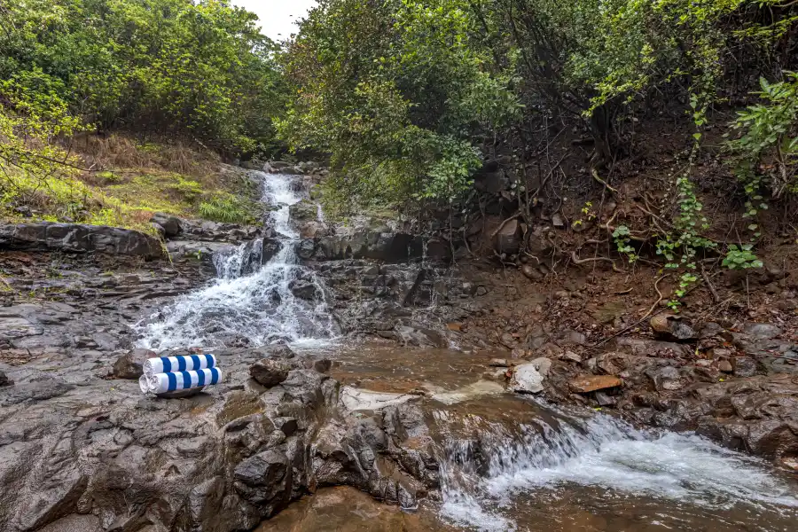 SaffronStays Aranya Vilas, Pawna