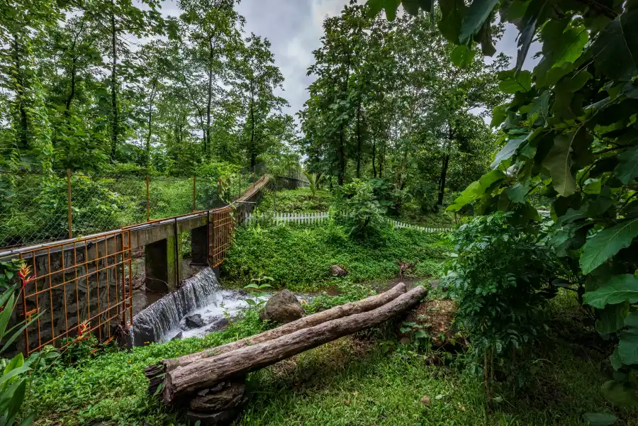SaffronStays Aranyaani, Karjat