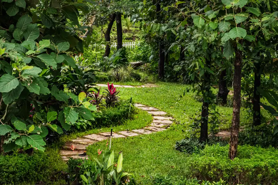 SaffronStays Aranyaani, Karjat