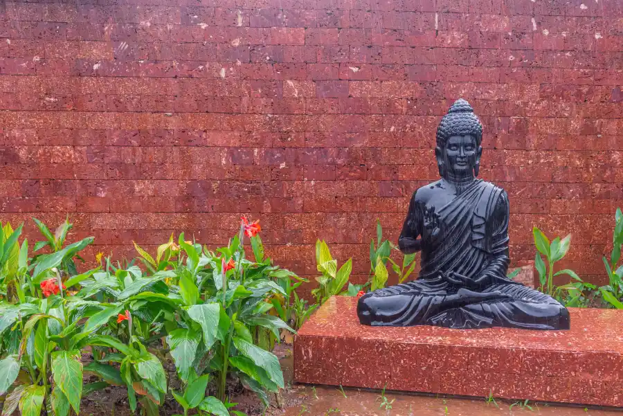 SaffronStays Arcadia, Shahpur