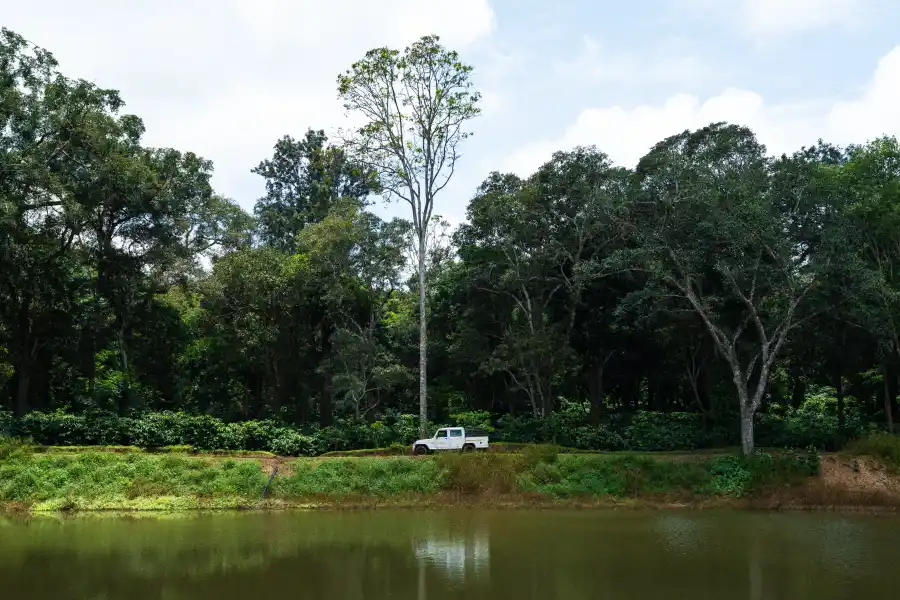 SaffronStays Biccode Woodside, Belur