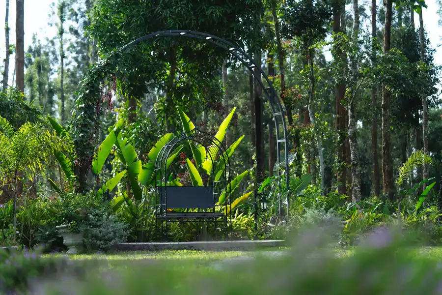SaffronStays Biccode Woodside, Belur