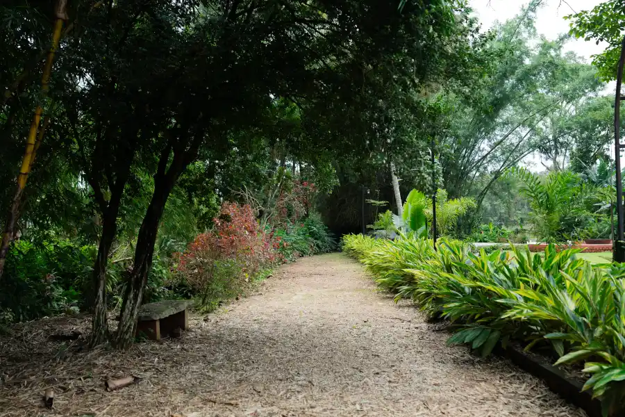 SaffronStays Biccode Woodside, Belur
