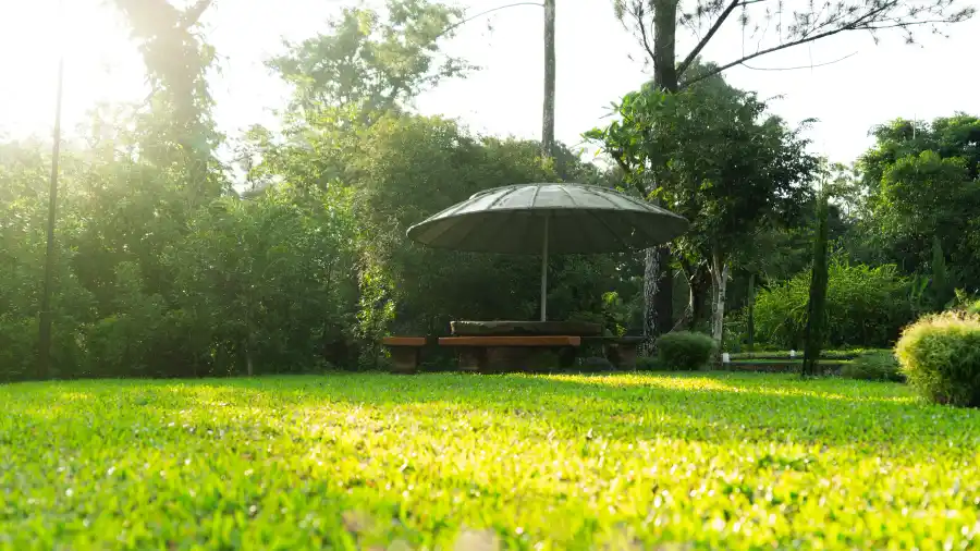 SaffronStays Biccode Woodside, Belur