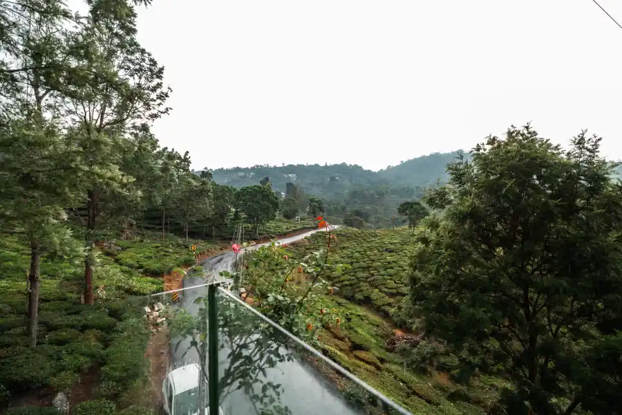 SaffronStays Blooming Stone, Kotagiri