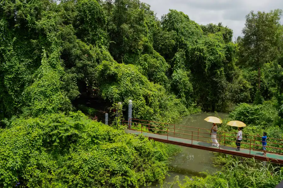 SaffronStays Cabin, Palghar