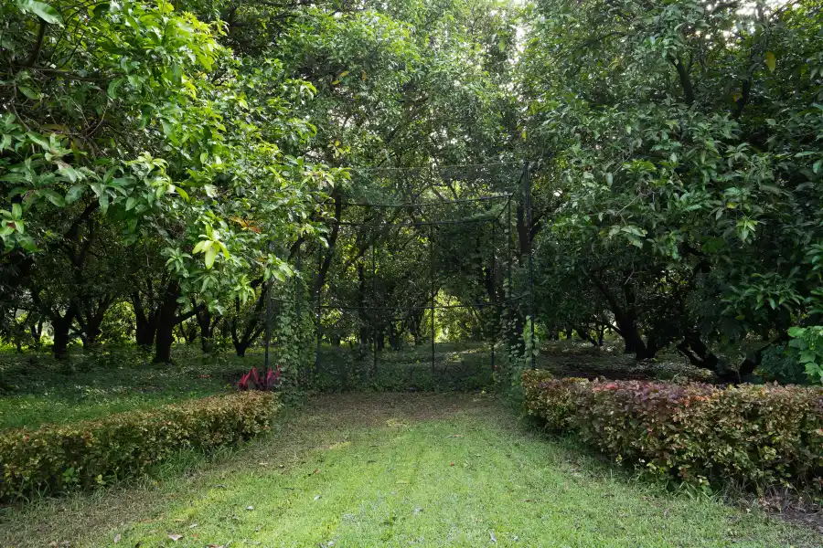 SaffronStays Cabin, Palghar