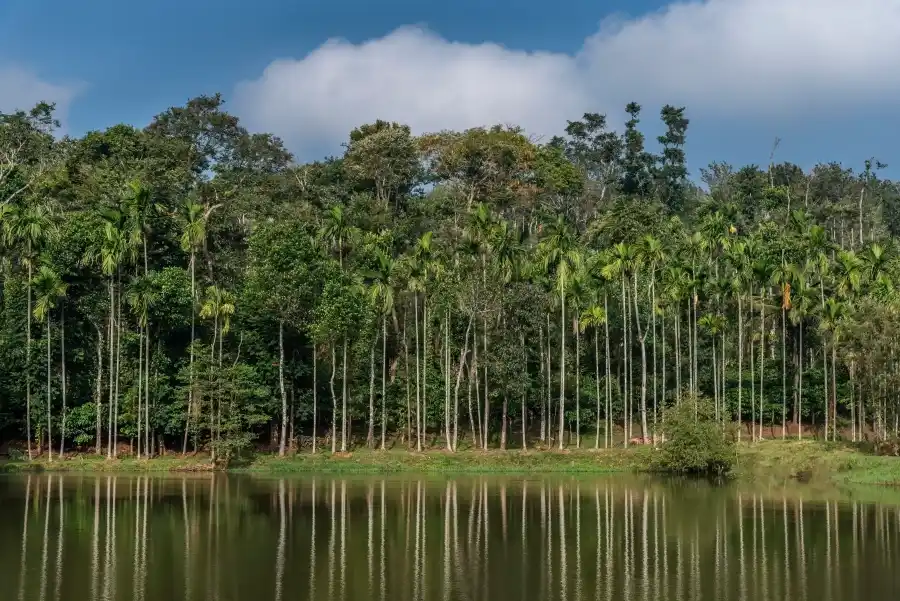 SaffronStays Calamondinn Bungalow, Coorg