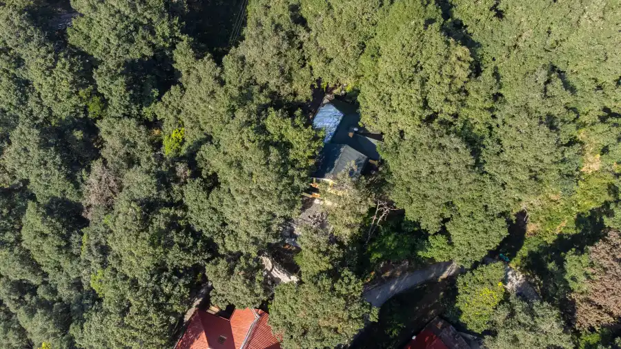 SaffronStays Charming Cottage, Landour