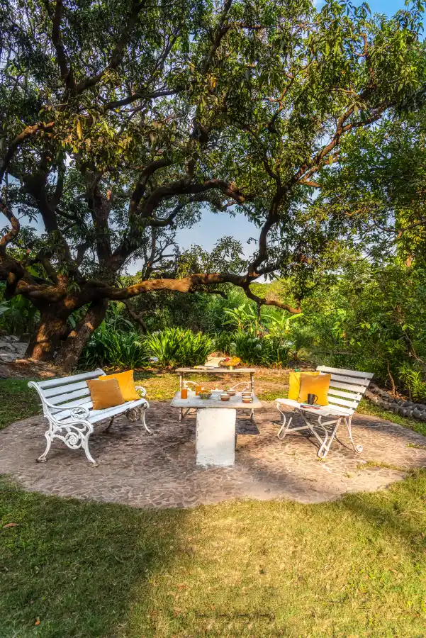 SaffronStays Chikoo Wadi, Palghar