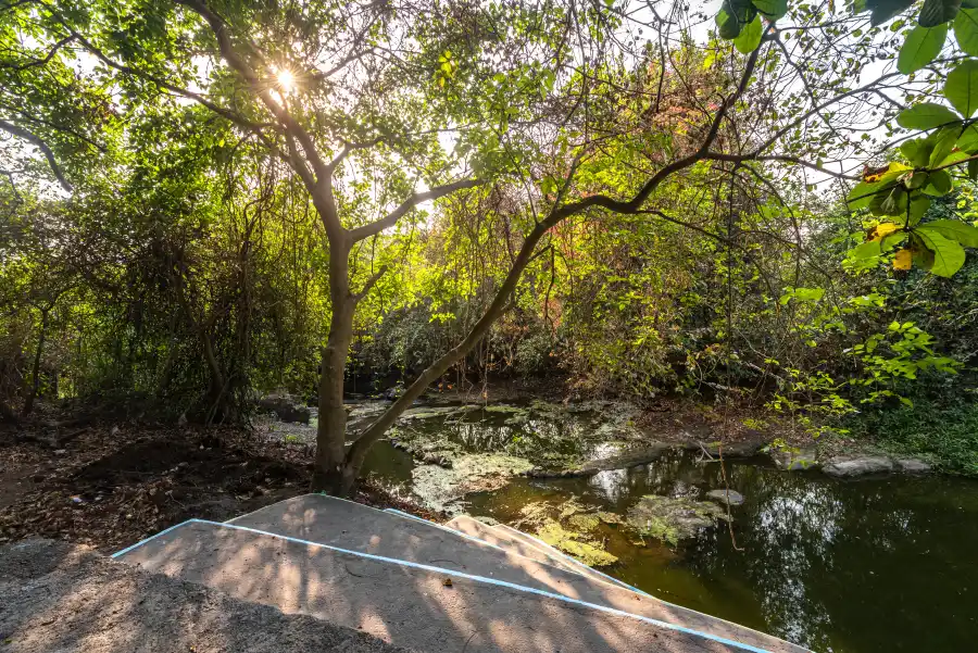 SaffronStays Chikoo Wadi, Palghar