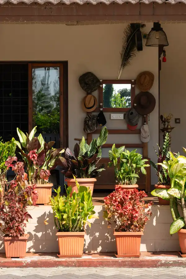 SaffronStays Coffeeshire, Chikmagalur