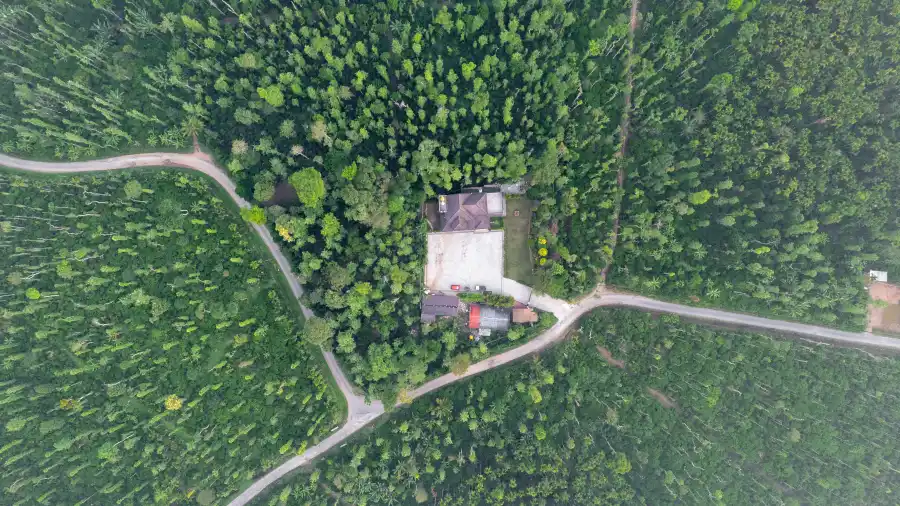 SaffronStays Coffeeshire, Chikmagalur
