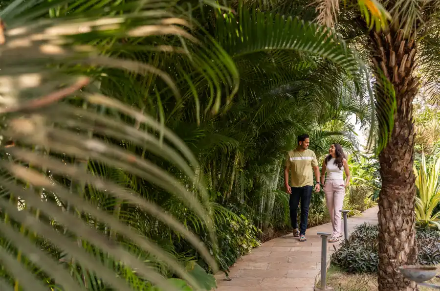 SaffronStays Eden, Nashik