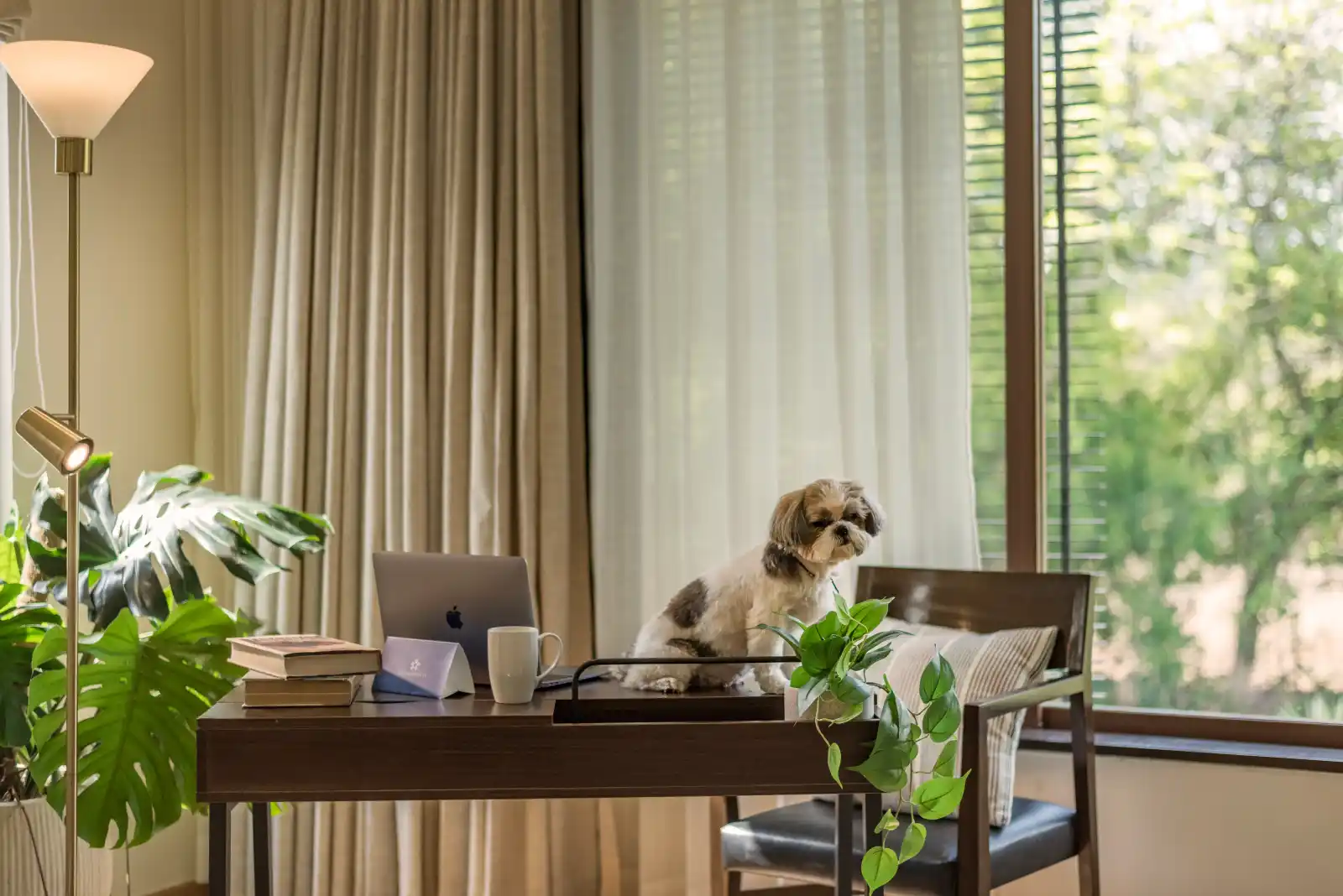 SaffronStays Estella, Alibaug