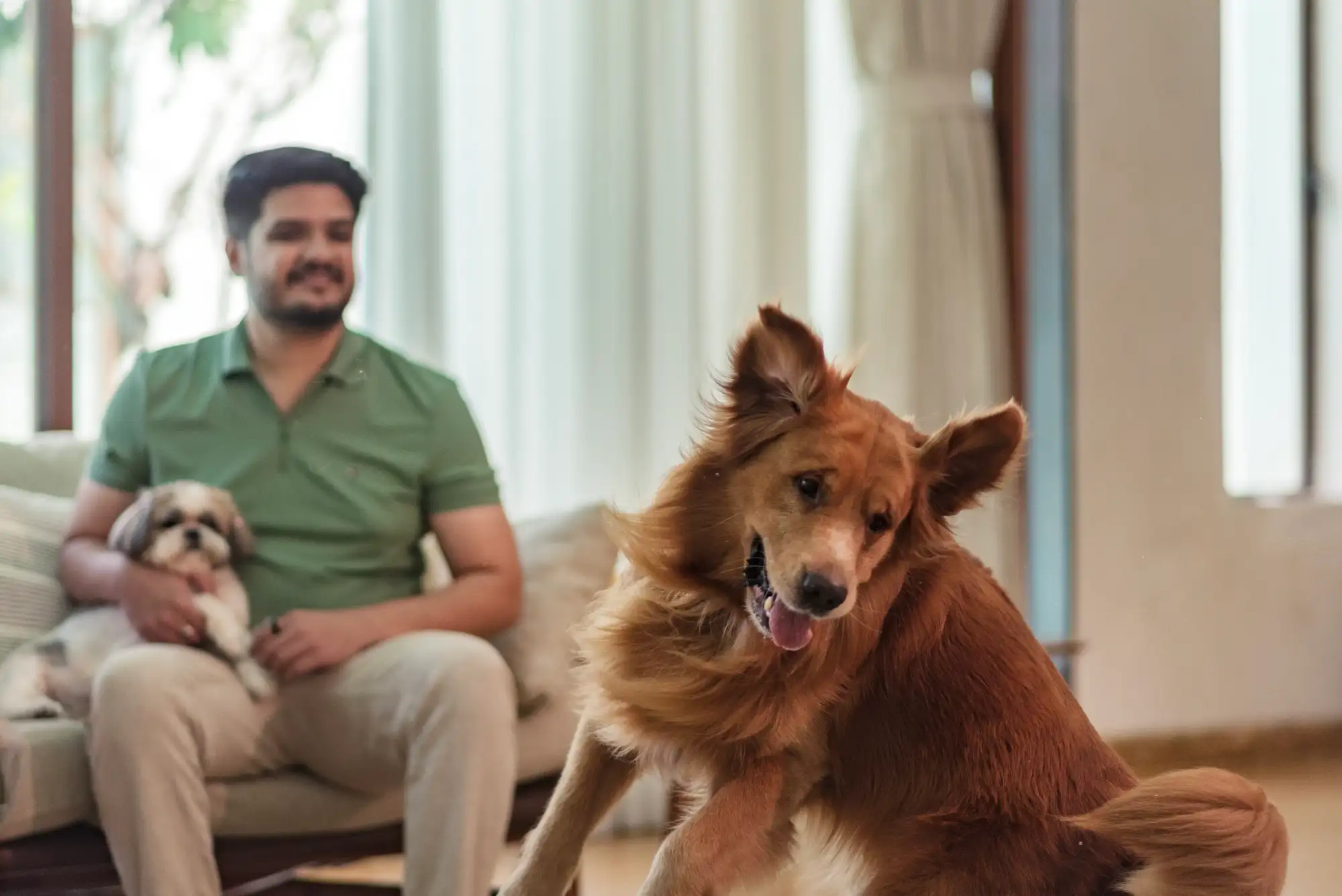 SaffronStays Estella, Alibaug