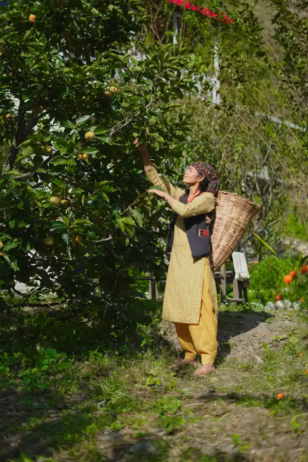 SaffronStays Fairytale Villa, Tirthan Valley