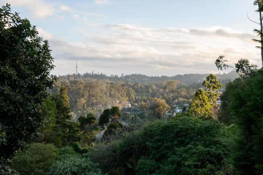 SaffronStays Grey Gables, Kodaikanal