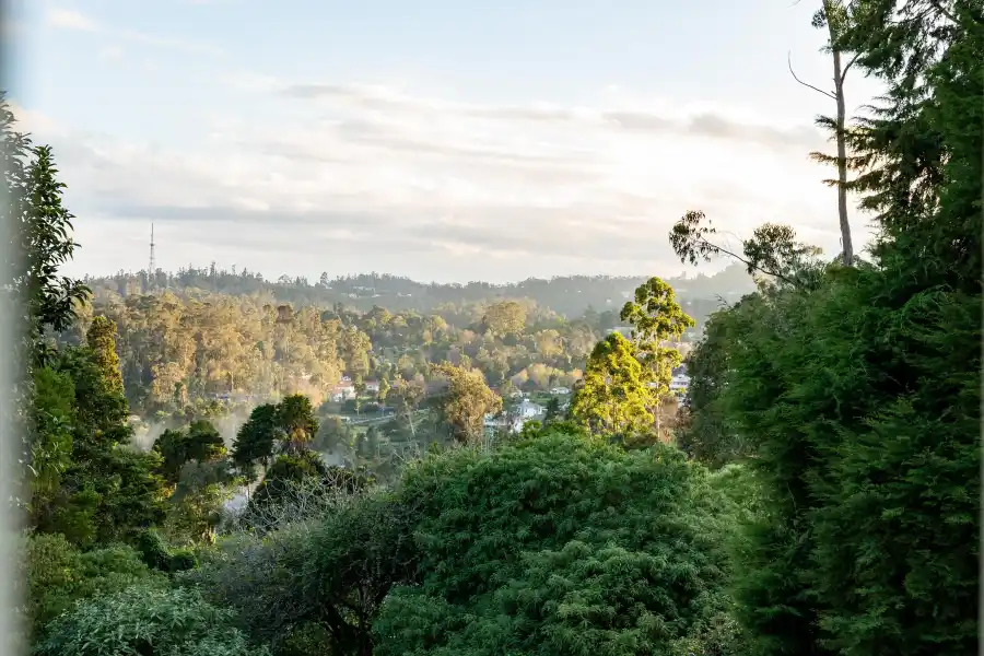 SaffronStays Grey Gables, Kodaikanal