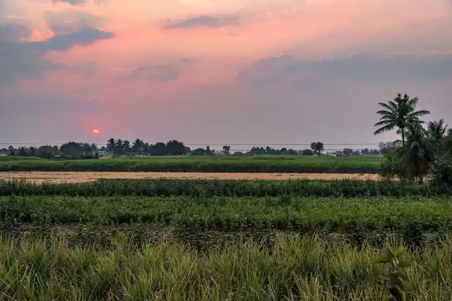 SaffronStays Happy Fields, Pune
