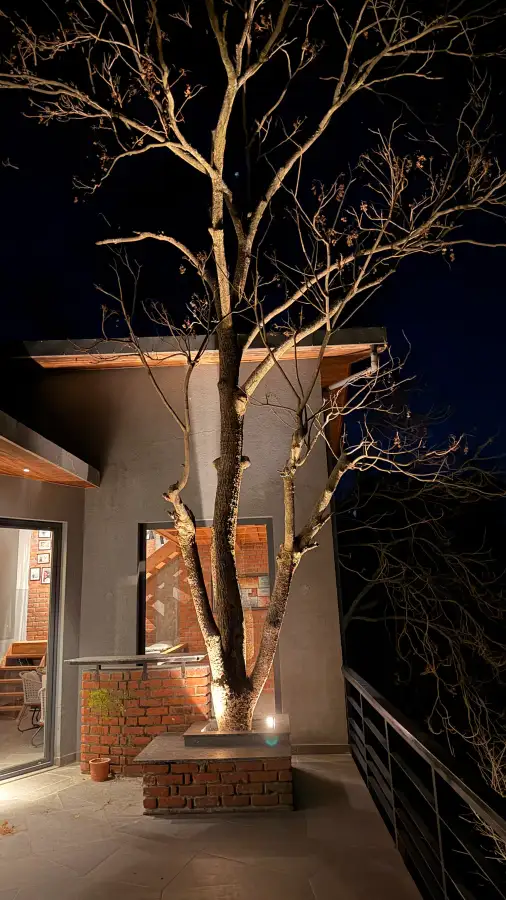 SaffronStays Hill Abode, Kasauli