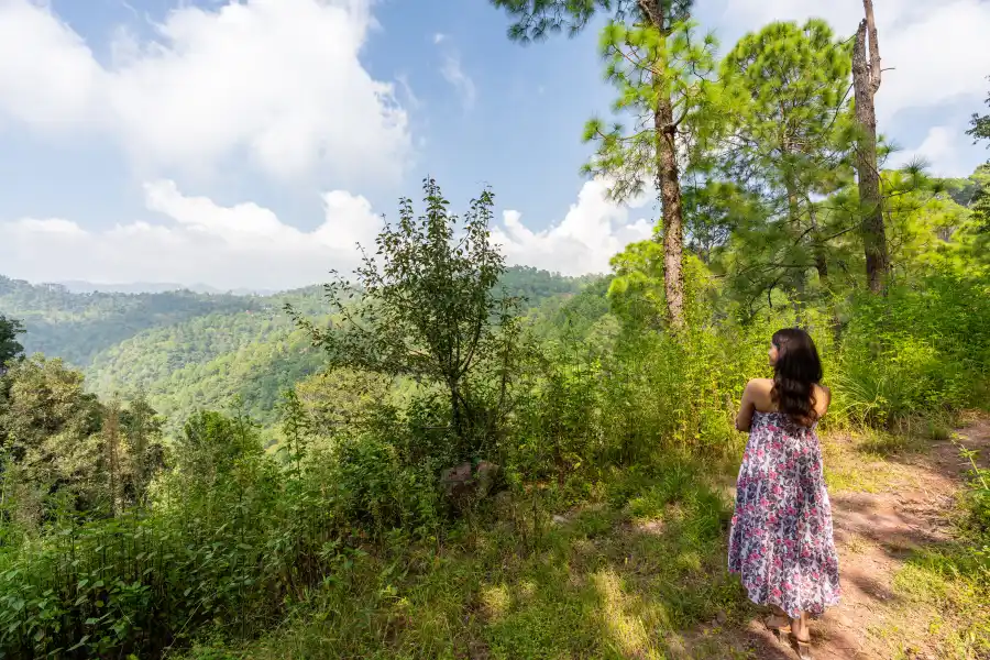 SaffronStays Hill Abode, Kasauli